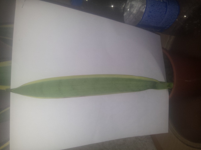 20150327_110855.jpg