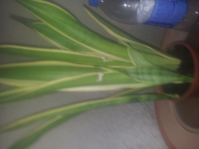20150327_111013.jpg