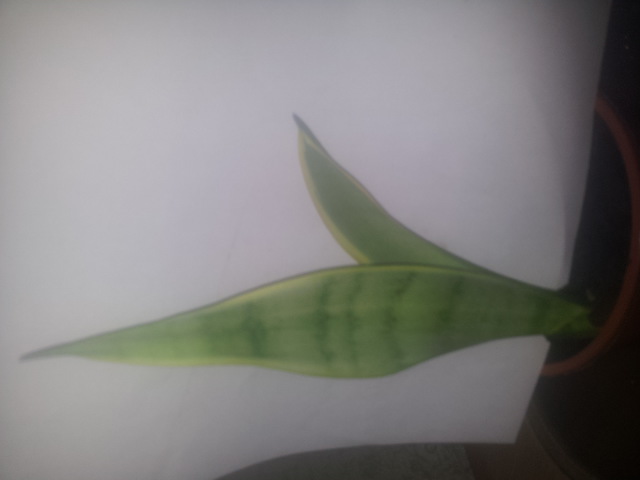 20150327_111001.jpg