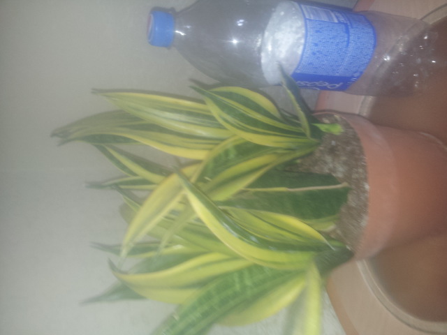20150327_110500.jpg