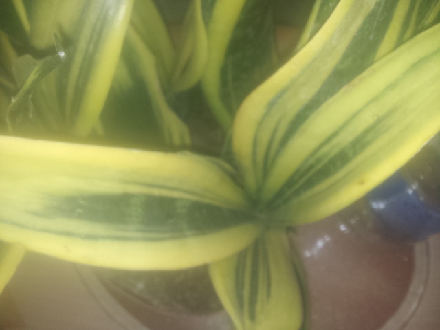 20150327_110523.jpg