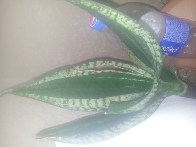 20150327_114709.jpg