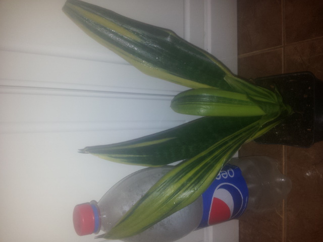 20150328_095108.jpg