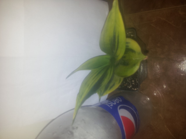 20150328_095306.jpg
