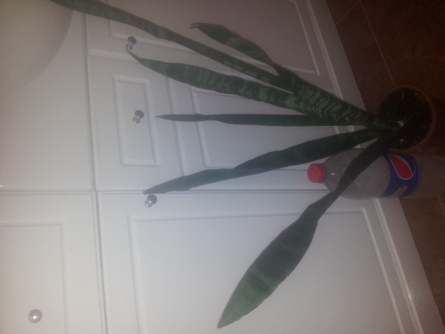 20150328_100111.jpg