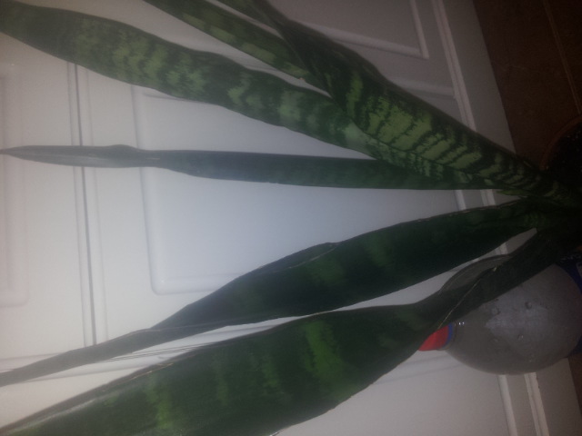 20150328_100056.jpg