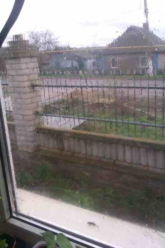 IMAG0228.jpg