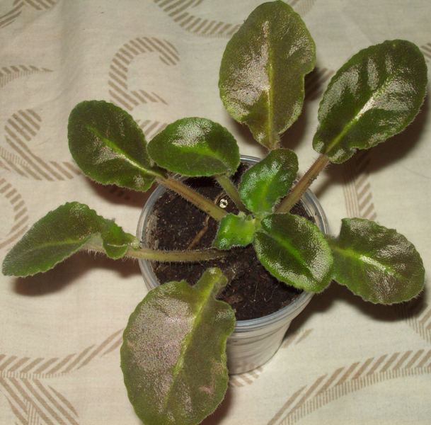 100_0404.JPG