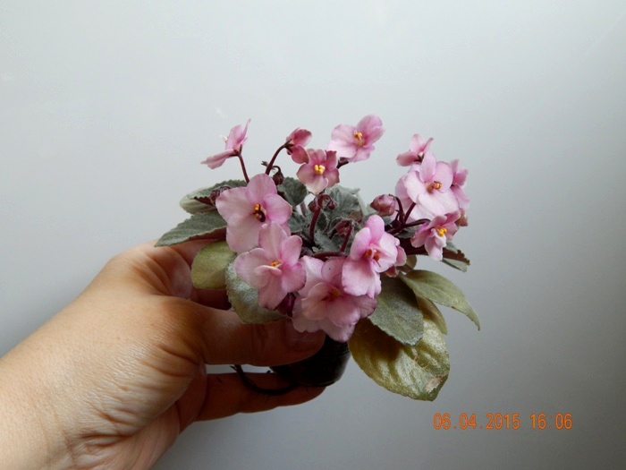 DSCN3995.JPG