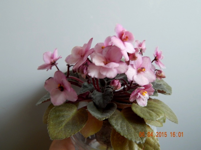 DSCN3991.JPG