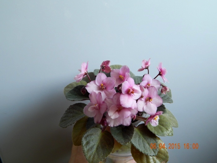 DSCN3990.JPG