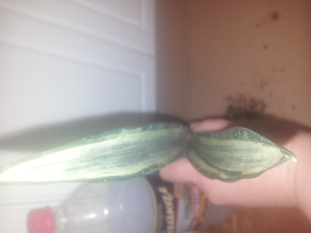 20150406_121336.jpg