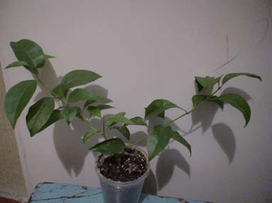 DSC02007а.jpg