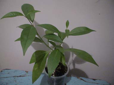 DSC02008а.jpg
