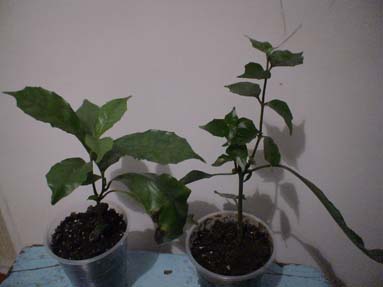 DSC02009а.jpg