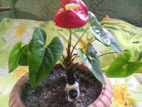 IMG_20150407_200602.jpg