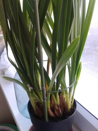 2015-04-08 09.47.03.jpg