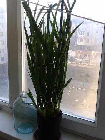 2015-04-08 09.46.55.jpg