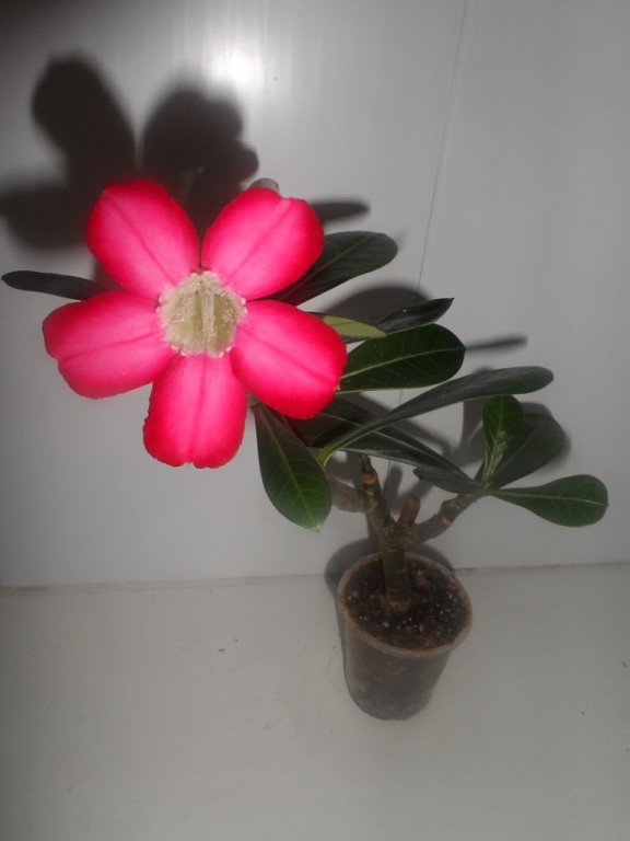 image (13).jpg