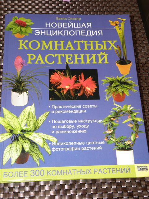 P1140292.JPG
