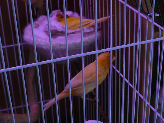 P1100887.JPG