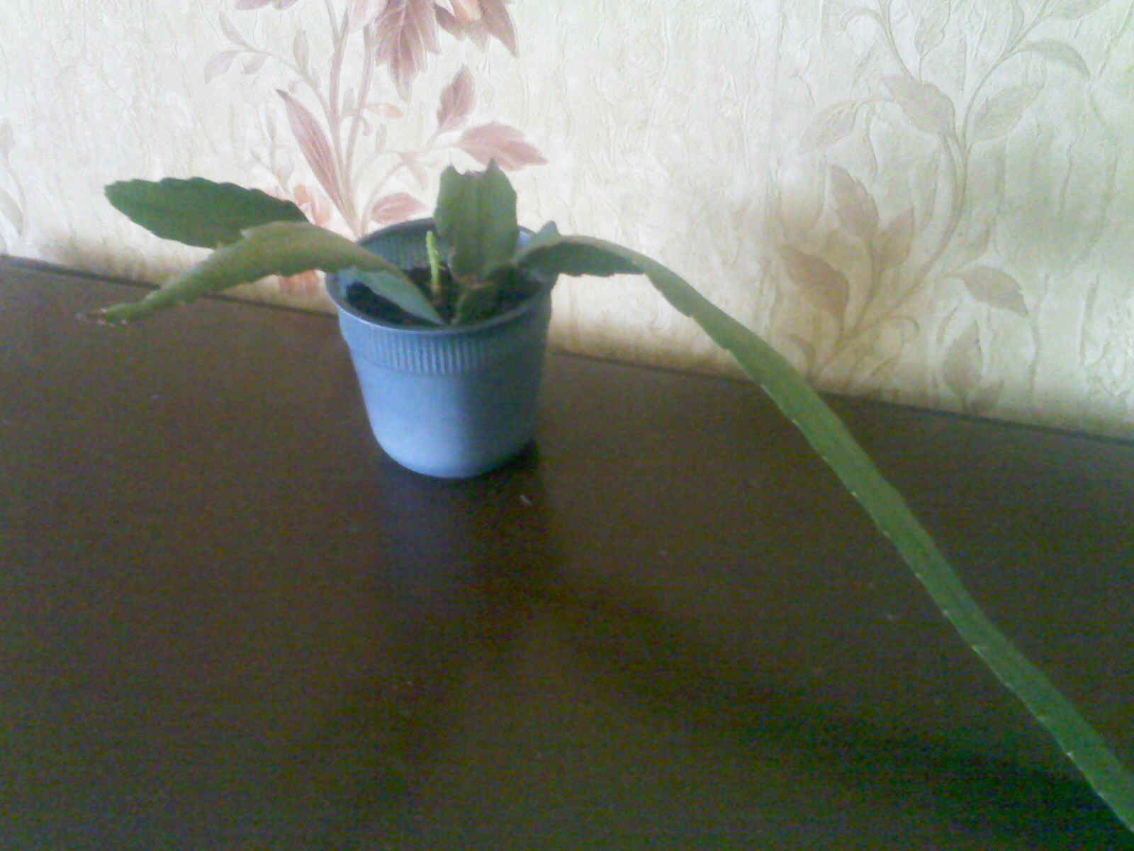 IMG01690.jpg