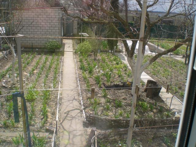 CIMG3765.jpg