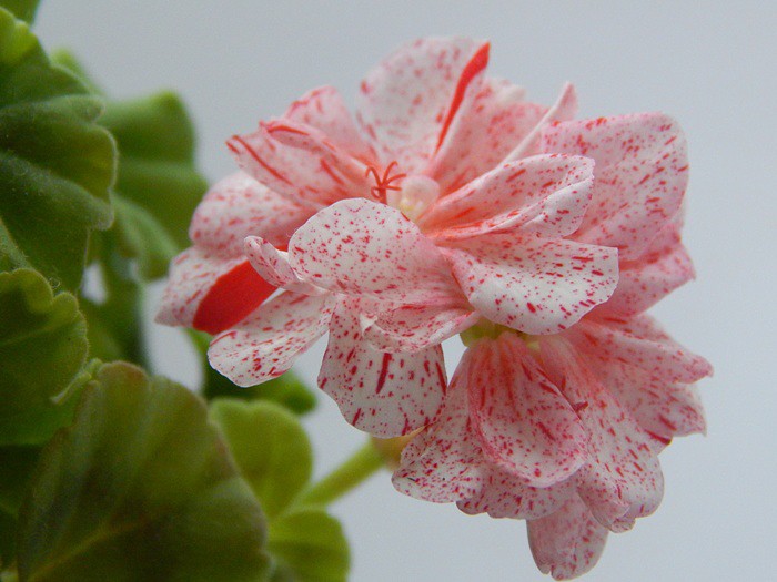 image (10).jpg