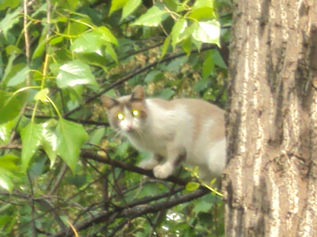 DSC05420.JPG