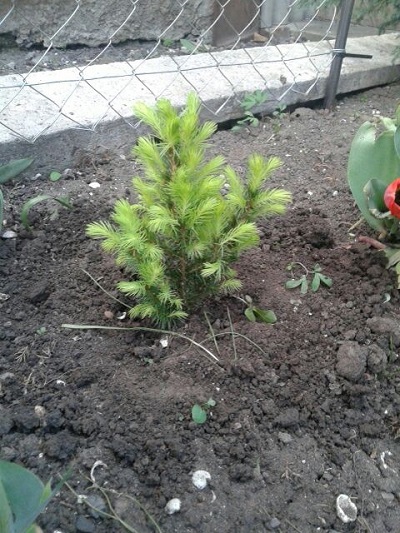 20141014_141825 1.jpg