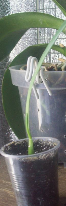 100_0604.JPG