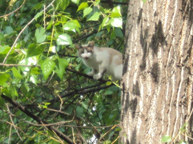 DSC05419.JPG