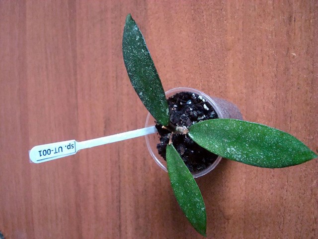 DSC00413.jpg