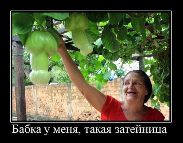 перец.jpg