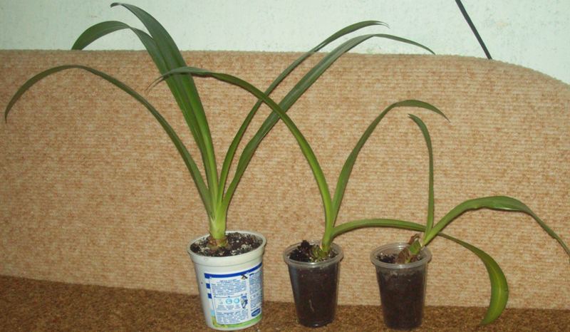 100_0327.JPG