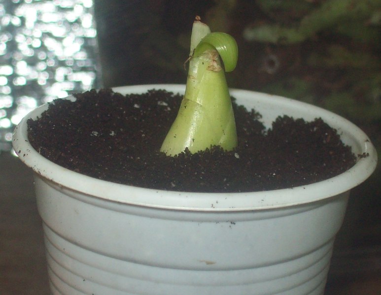 100_0615.JPG