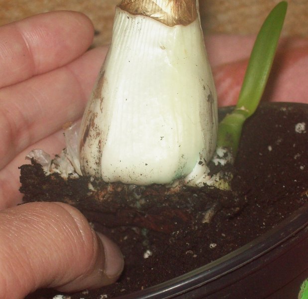 100_0612.JPG