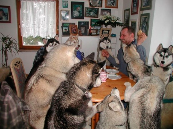 Дружная семья.jpg