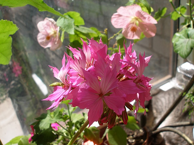 P1010540.JPG
