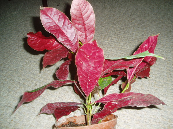 P1010157.JPG