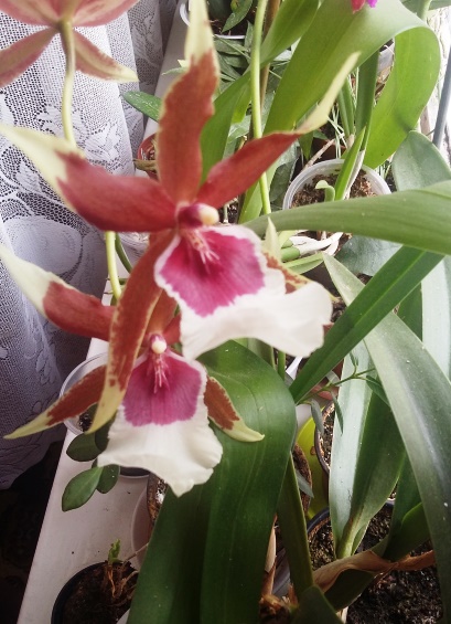20150206_120709.jpg