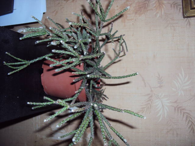 DSC00032.JPG