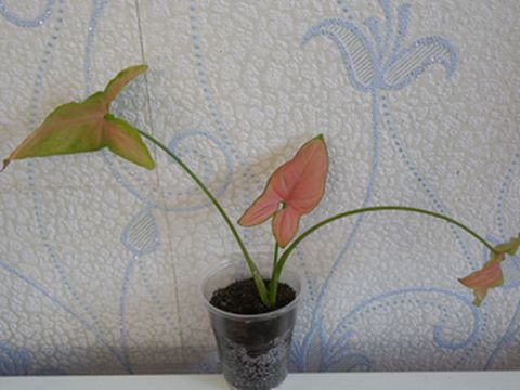 Изображение 109 1111.jpg