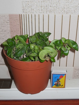 DSCN6344.JPG