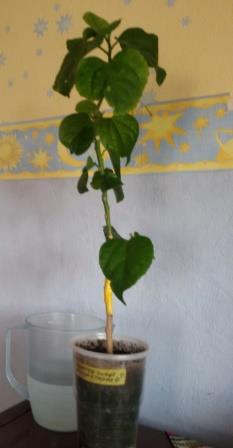 20150526_085500.jpg