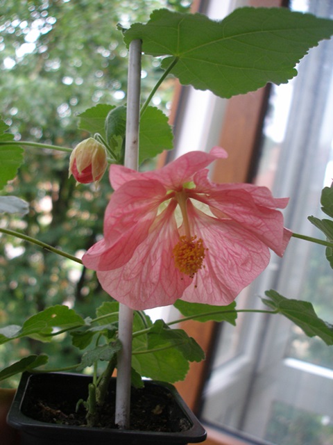 P1010001.JPG