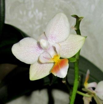 IMG_5154.jpg