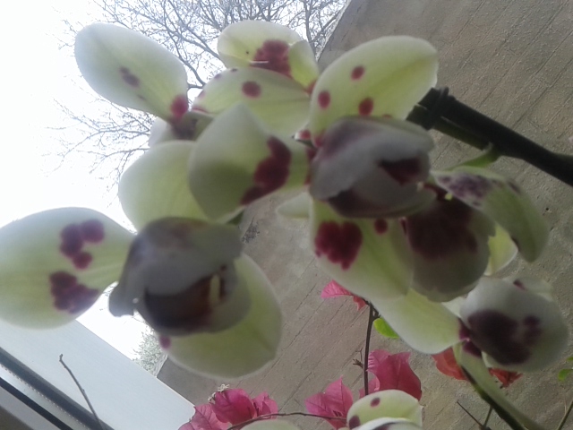 20150502_095131.jpg