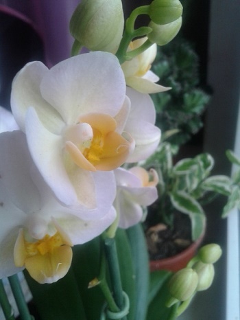 20150502_095006.jpg