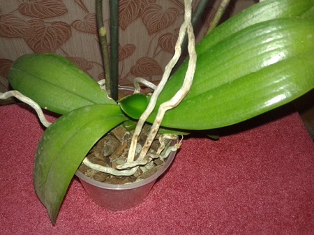 20150530_100428.jpg